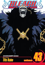 Bleach, Vol. 43