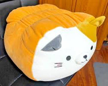 14” Cat Bread Loaf Plush