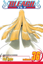 Bleach, Vol. 36