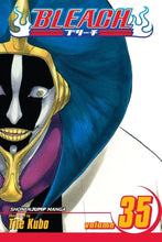 Bleach, Vol. 35