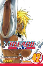 Bleach, Vol. 42