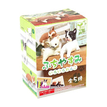 Yell Resting Dogs Mystery/Blind Box