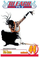 Bleach, Vol. 44