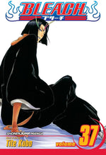 Bleach, Vol. 37