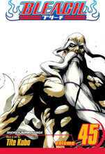 Bleach, Vol. 45