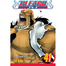 Bleach, Vol. 41