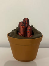 Dugtrio…?